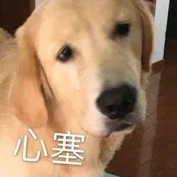 宝箱|小美宝箱精选