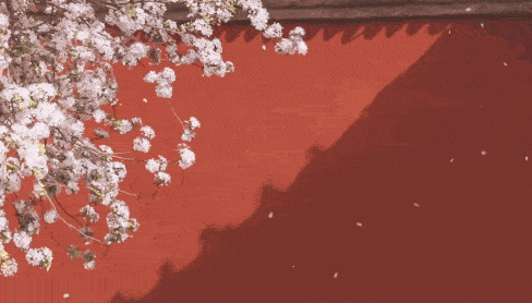 许你一场红色婚礼 如同年华盛开的火焰