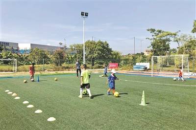 培训|疫情过后体育培训路在何方？