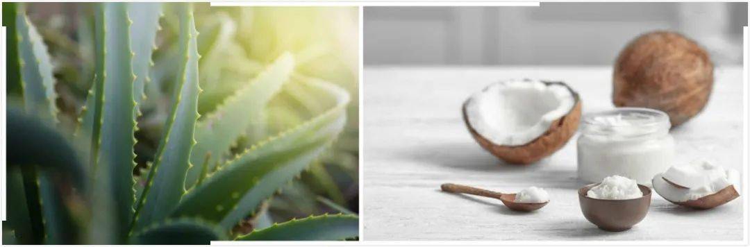 防水|暴晒12小时也不黑，防水防汗还养肤