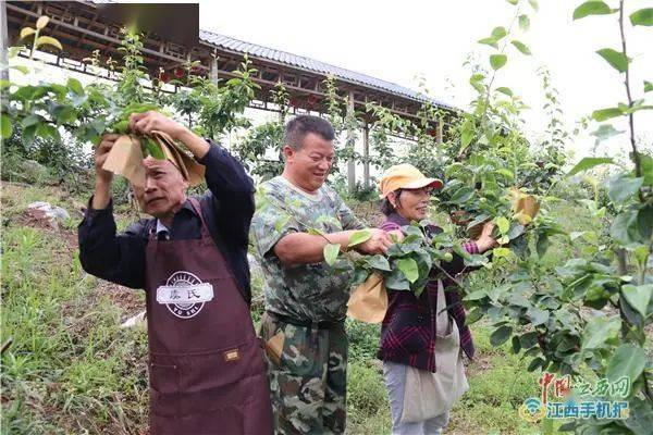 易洪元向疫情防控卡点一线执勤人员送去爱心物资(赤山