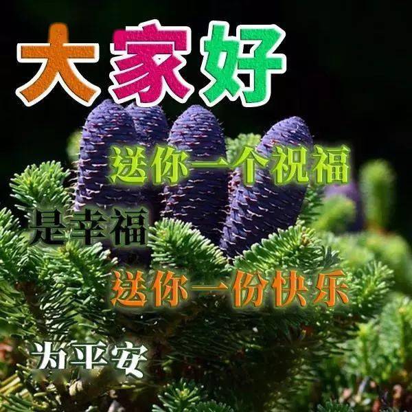 最美的祝福送给所有朋友,祝你永远幸福安康!