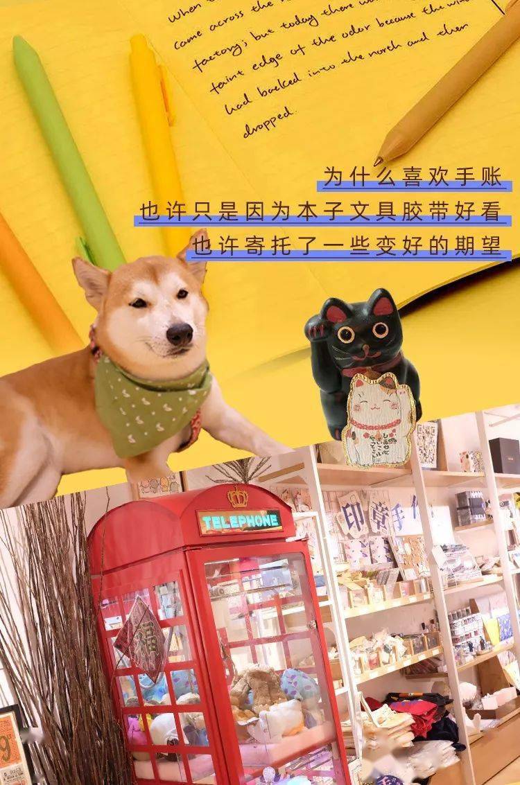 胶带|手账er快来！文具的美好都藏在四惠这家文具店里了~