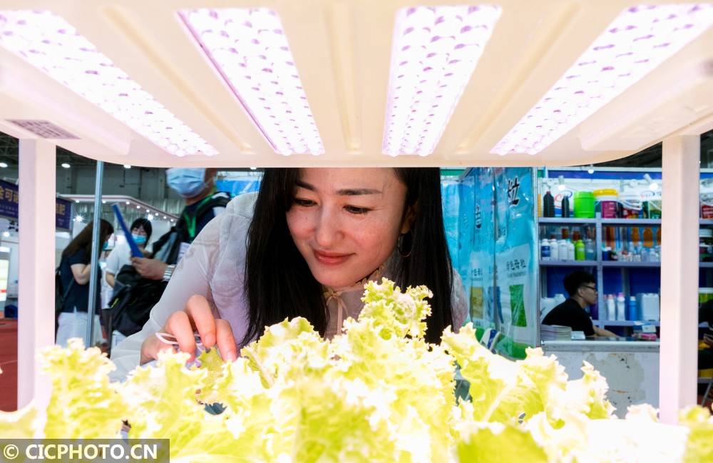 内蒙古|2020年第二十六届内蒙古农业博览会开幕