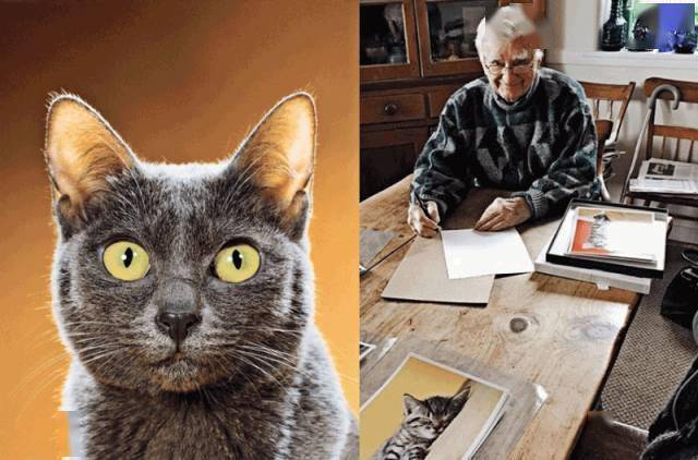 年拍|铲屎官必看!被誉为拍猫教父的他,70年拍猫历史全在这