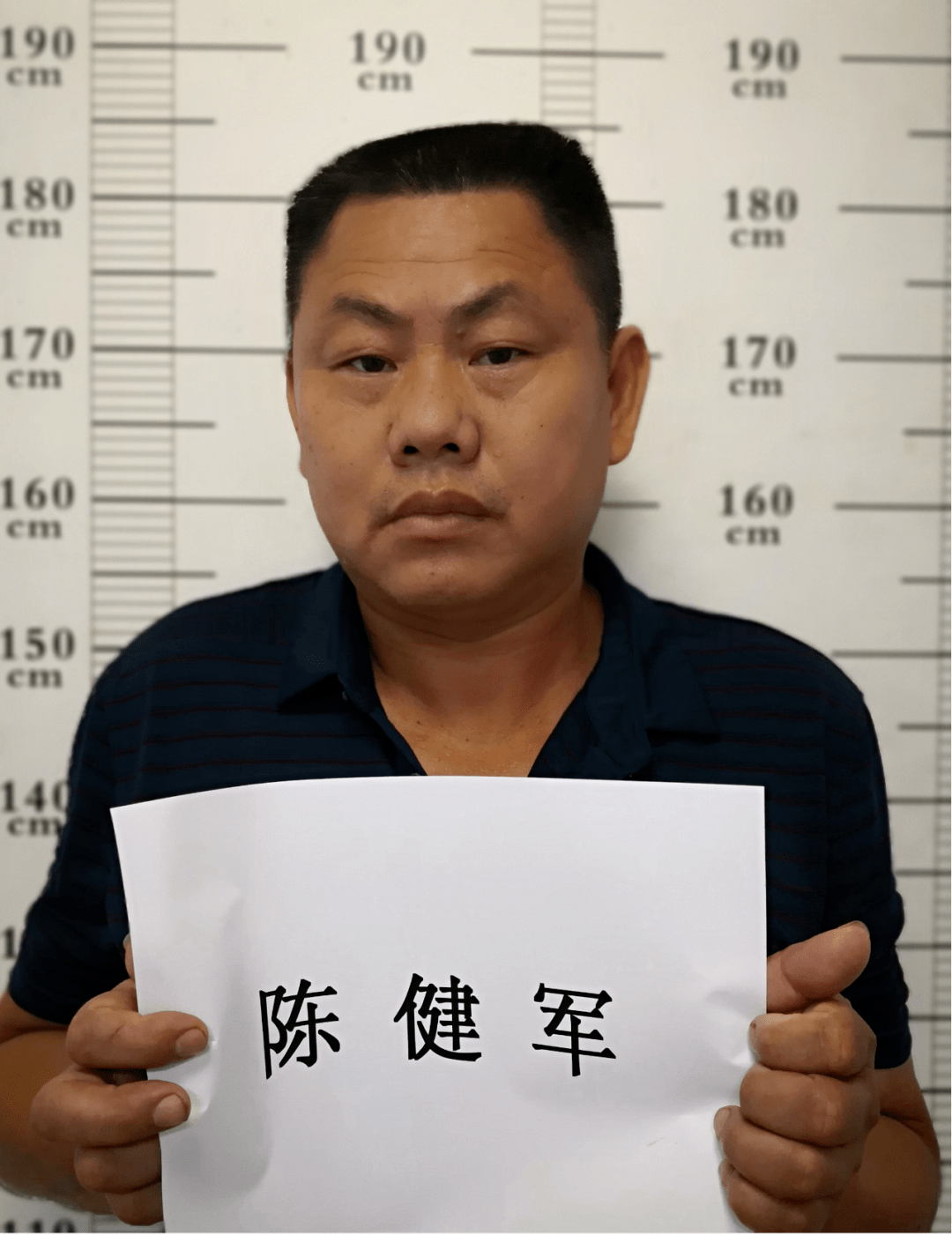 关于公开征集陈伟平涉黑恶犯罪团伙违法犯罪线索的通告