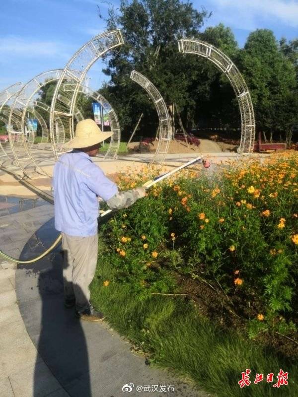工人|高温下怎么护花，武汉景区园丁教你这样做