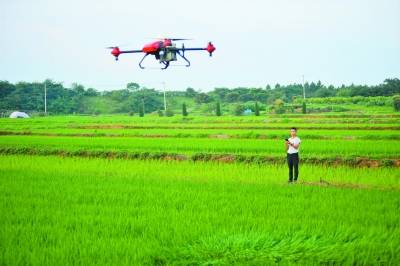 创业|大学生当“新农人” 现代农业显身手
