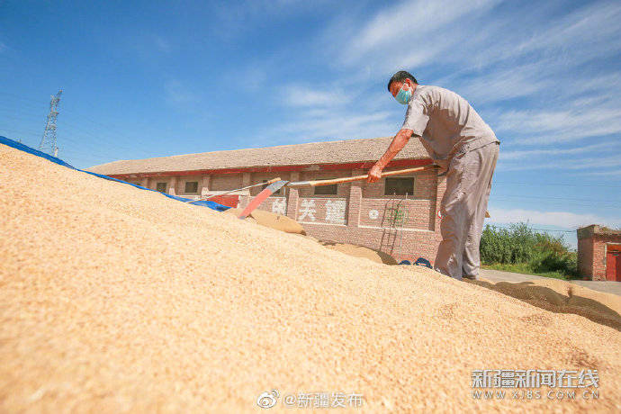 颗粒归仓|颗粒归仓 管护正忙