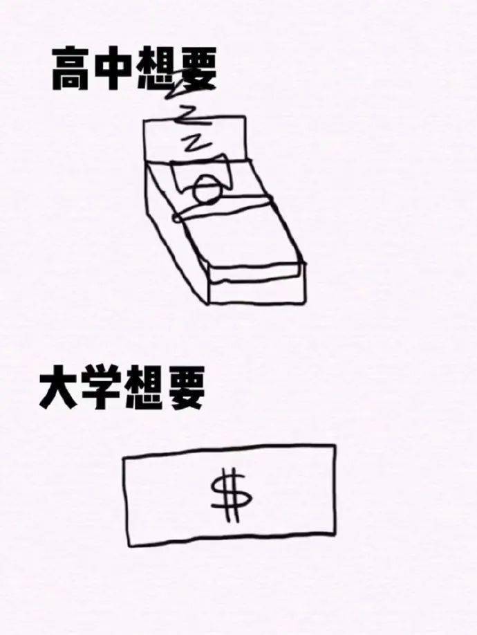 区别|高中和大学的真实区别？太真实了~