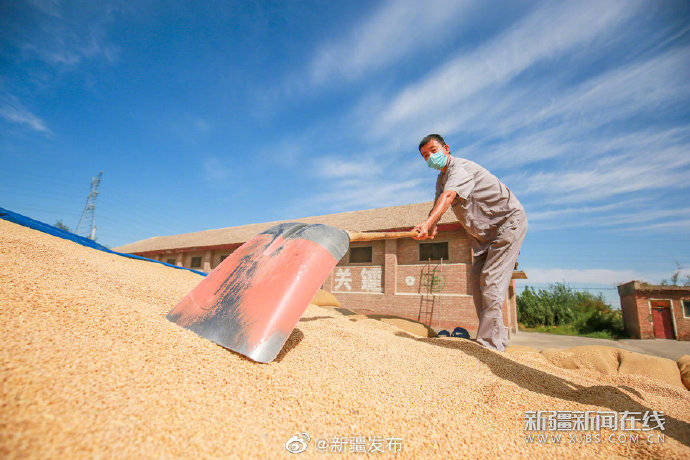 颗粒归仓|颗粒归仓 管护正忙