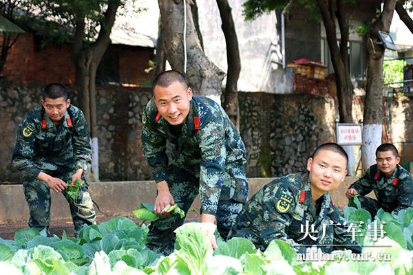 教育|武警永州支队江华中队运用微型教育激励官兵争先创优