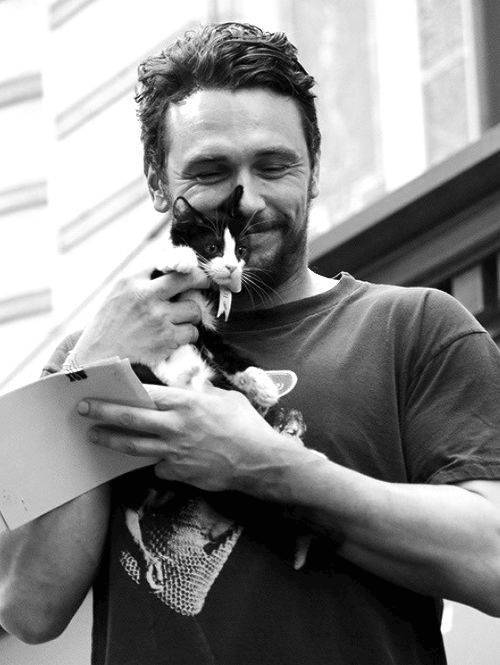 年拍|铲屎官必看!被誉为拍猫教父的他,70年拍猫历史全在这