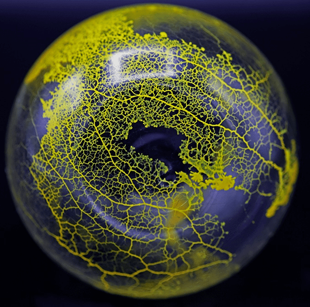 造物|重磅！淘宝造物节开始，公布青年创造力6大趋势