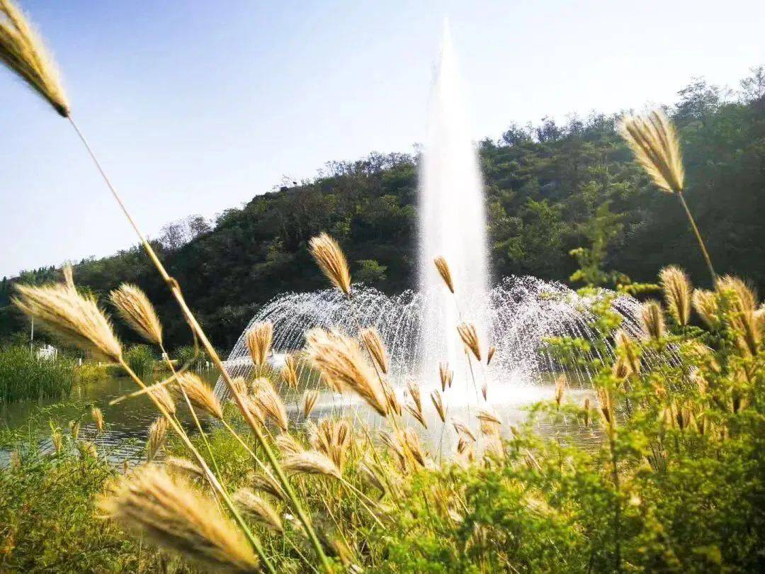 原山|【红色原山】山东原山艰苦创业教育基地｜夏