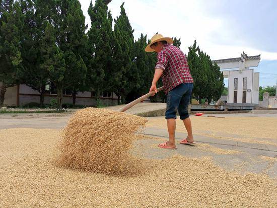 同大镇|县委书记八日抗洪记