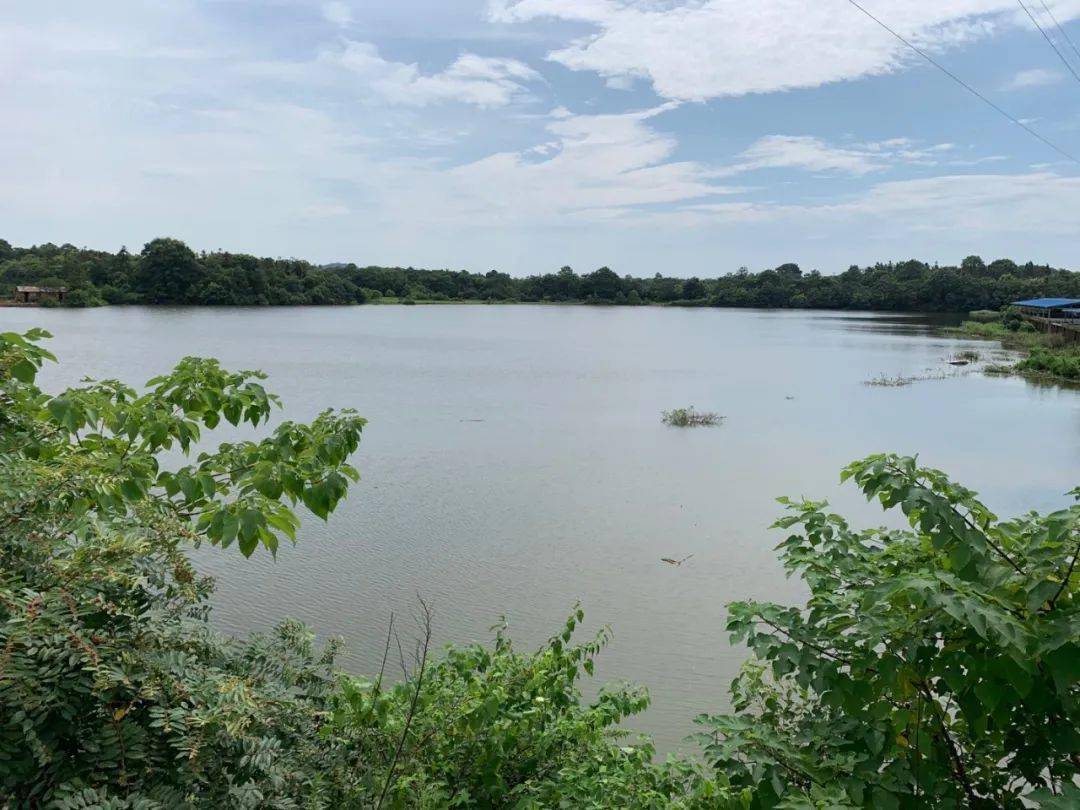 老宅|被羁押9778天后，张玉环无罪释放