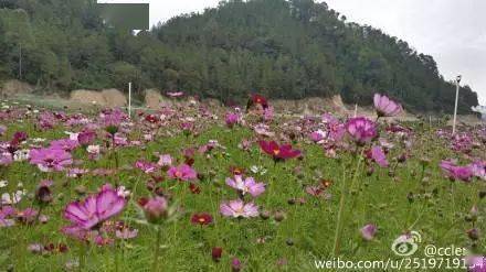 连拍|老娘化妆那么贵，你连拍照都不会