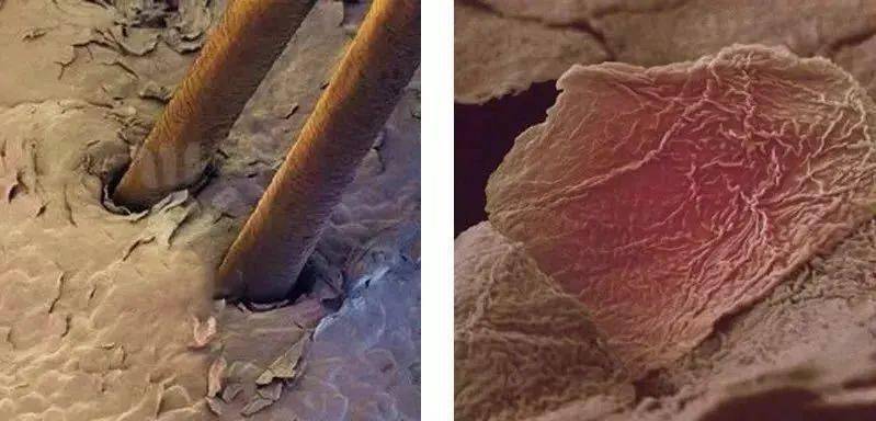 不知道|用1颗糖洗澡是什么体验？不洗都不知道身上这么脏，竟然还能扣出油脂粒！