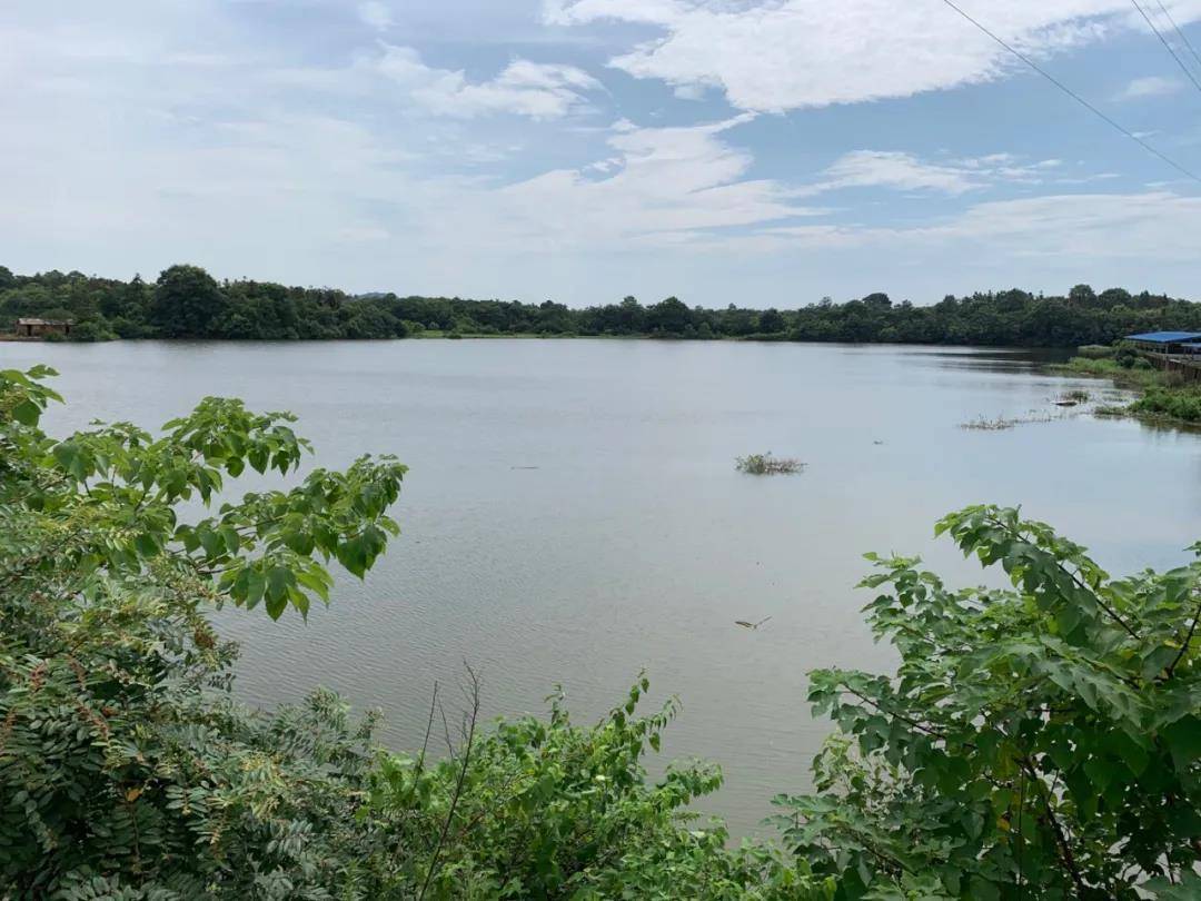 时间|被羁押9778天后，张玉环无罪释放