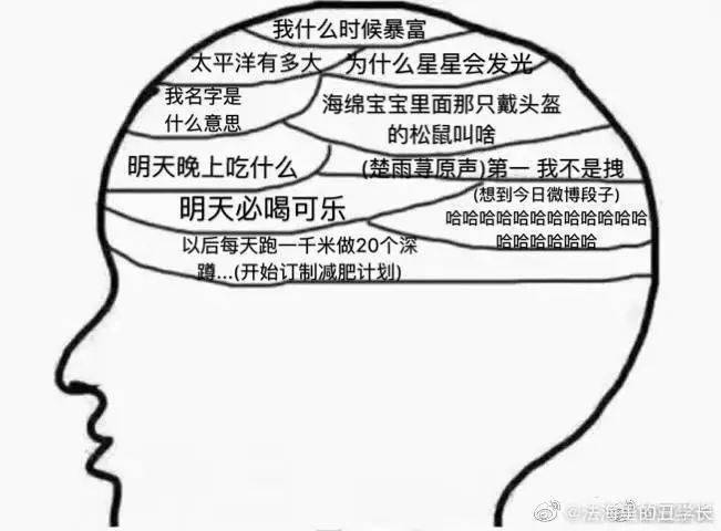 笑话    失眠时的脑子vs睡醒时的脑子