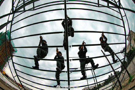 梁峰|兵哥的飞檐走壁，地球引力又解释不清楚了