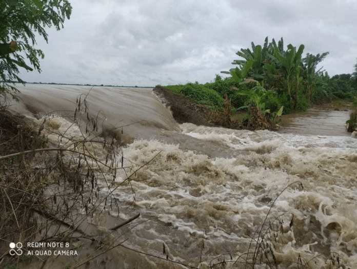 安置|缅甸伊洛瓦底省一水坝决口 三座村庄被淹
