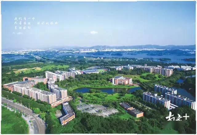 2020东莞市中考成绩_点击进入:广东东莞2020年注册城乡规划师考试成绩查