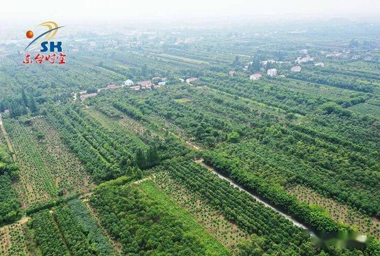 东台市人口有多少_东台市18路公交线路图(2)