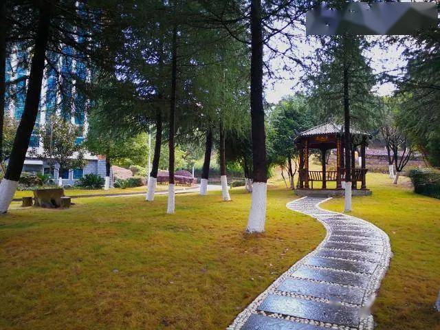 贵阳2020中考学校排名_定了!2020贵阳体育中考“三区一地”考点设在这4所学