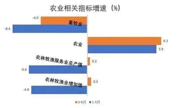 2020横山gdp_权威发布丨2020年中国木门行业发展报告(3)