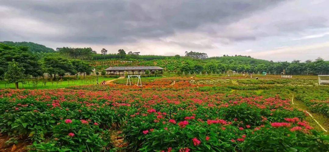 成语什么星虹_成语故事图片(2)