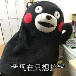 c30900d570484abd9b06cb48bc163734.jpeg