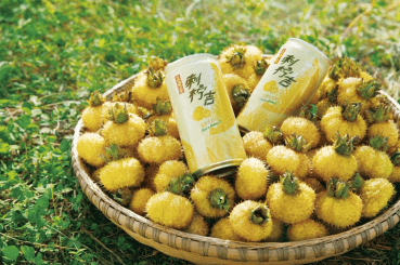 直播|钟南山直播带货 “小刺梨”带动“大产业”