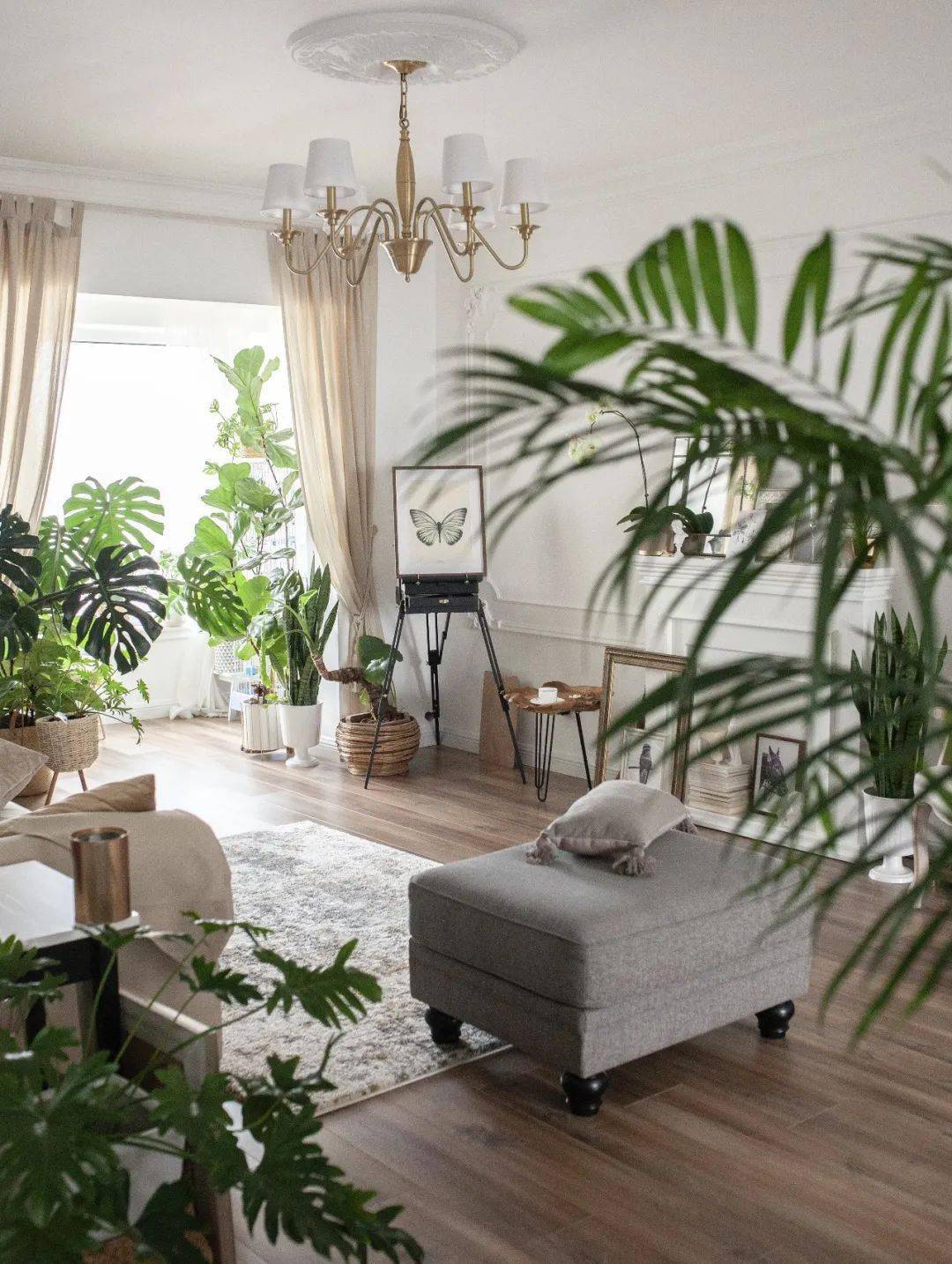 植物|她们的家，美得很让人种草