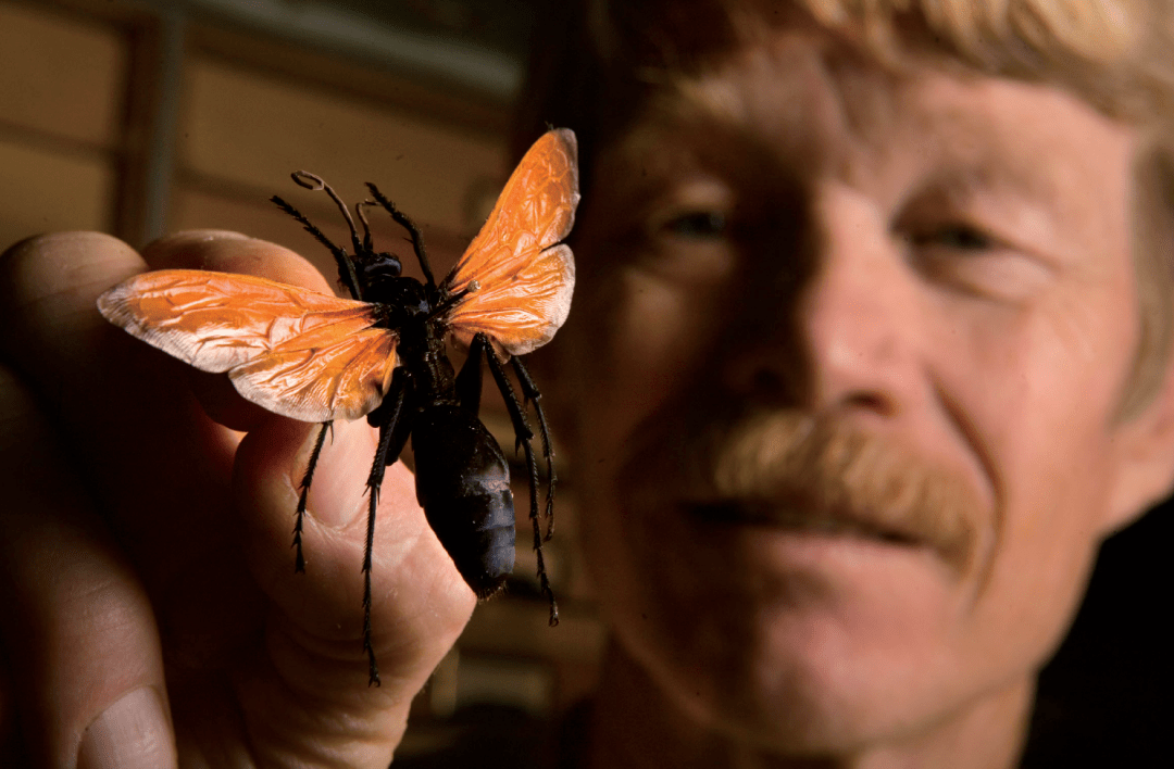 怎么才能让自己变成有趣的灵魂 2b7c9f3e1e1643f5b4d14567018d7854.png