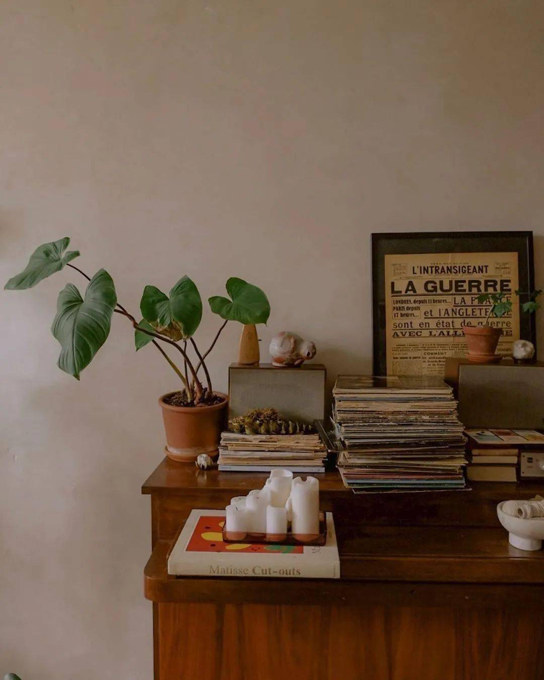 植物|她们的家，美得很让人种草