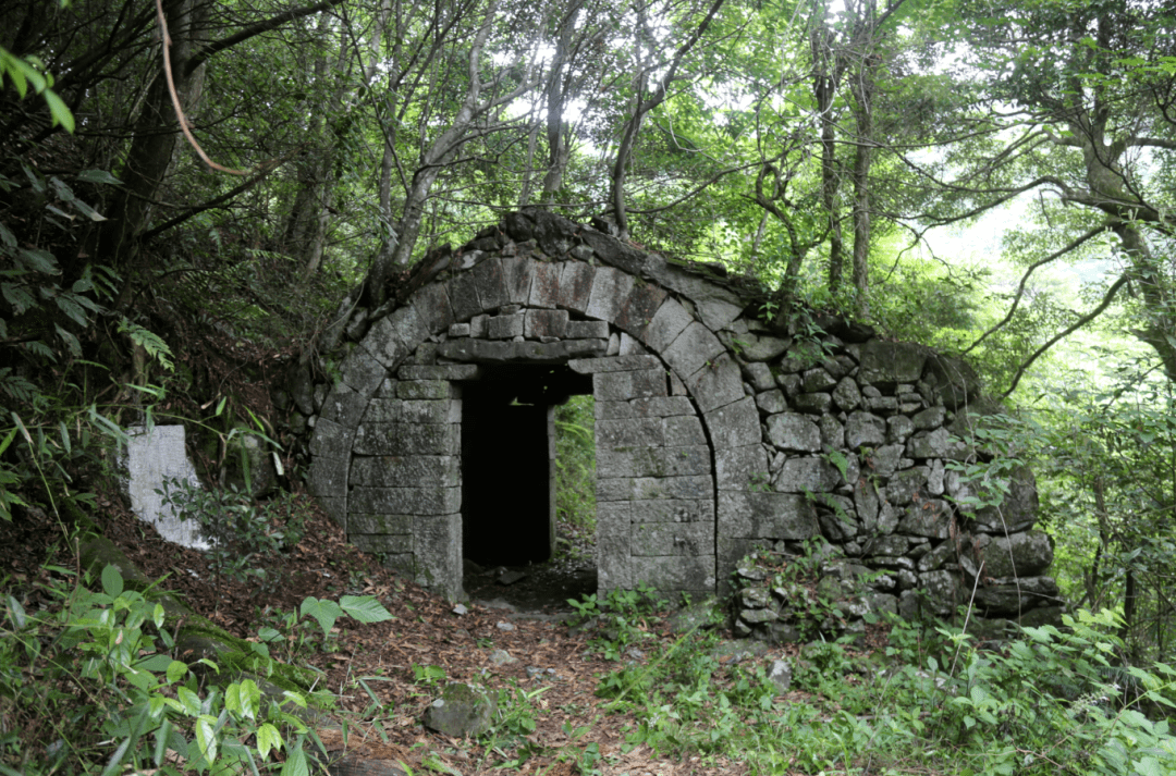 福建省泰宁县大龙乡善溪村有多少人口