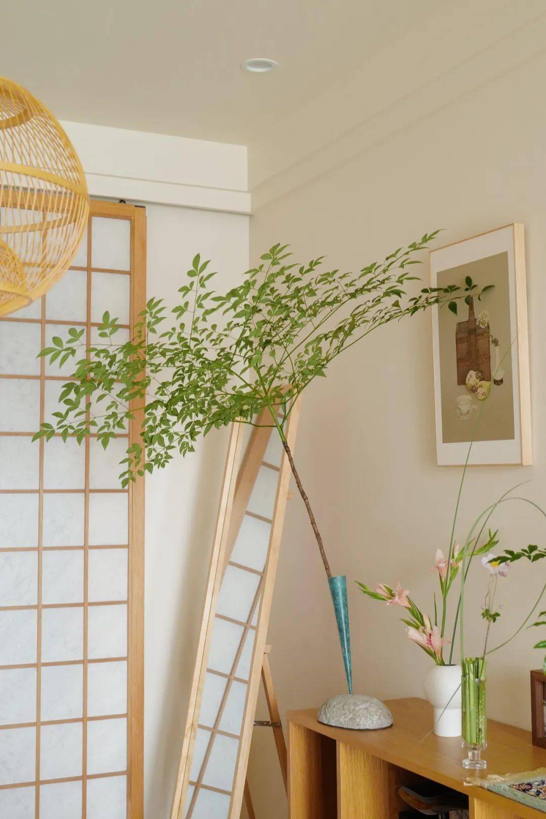 植物|她们的家，美得很让人种草