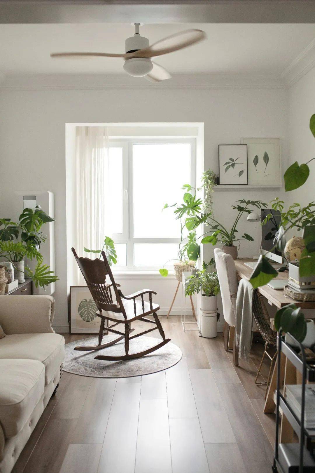 植物|她们的家，美得很让人种草