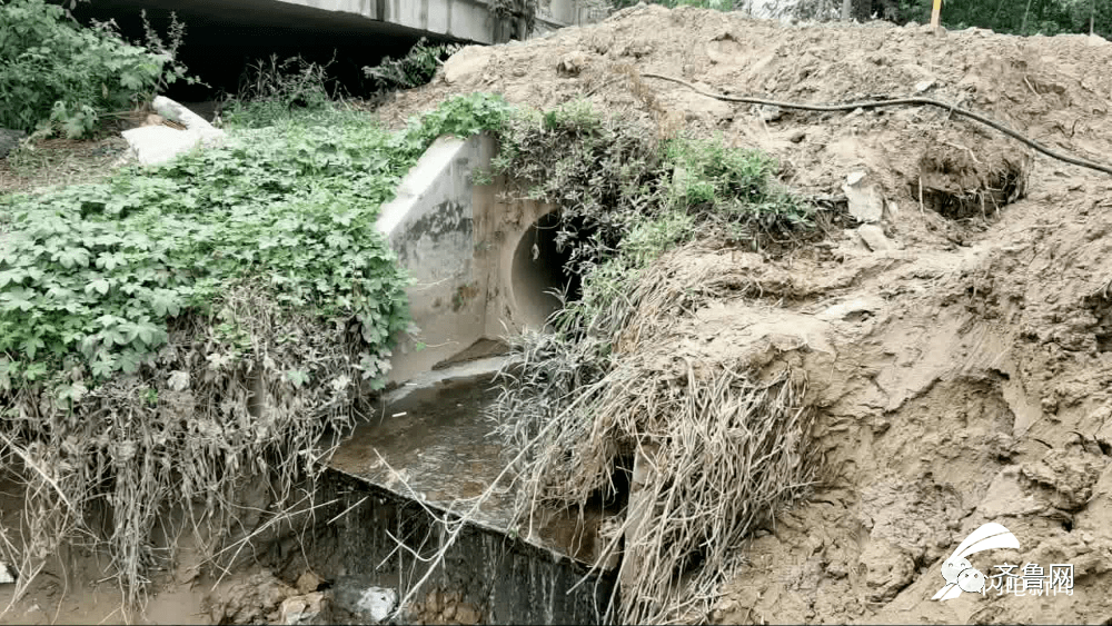 青岛|“一纸证明”挡住了孩子的上学路：能否解决呢？