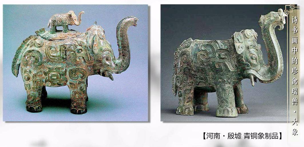 大象|大象：遗双翠，骑象背人先过水