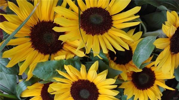 取舍|人过中年，悟透得失：懂得这三种取舍之道，人生自得福报