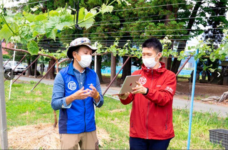 疫情|疫情点燃日本年轻人“去乡下”生活的热情