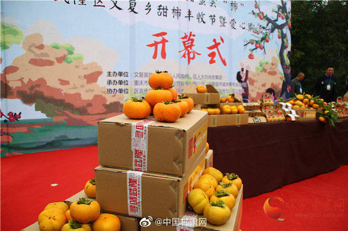 柿子|好“柿”多磨 重庆武隆李树群带领乡亲种植甜柿子致富