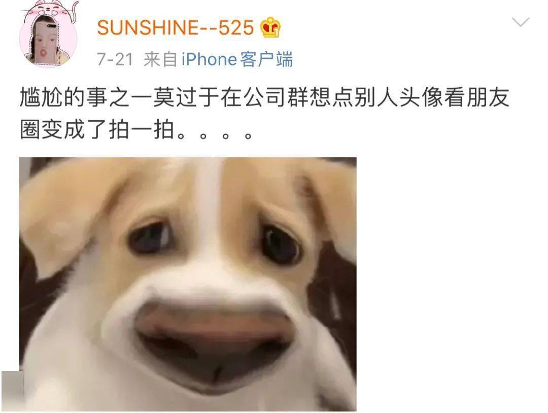 怎么说话才能有杀伤力 5cbf43faa9d6409c97e369b30d570135.jpeg