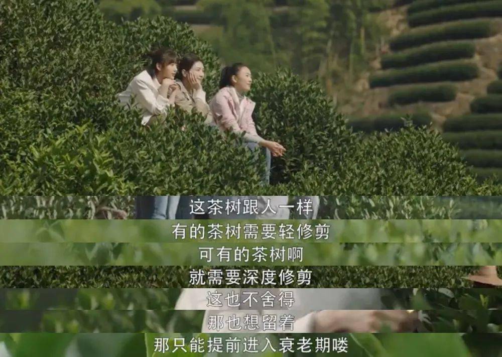 三十而已大结局是什么 71fe2494c5e54ad28b024f62627d03d6.jpeg