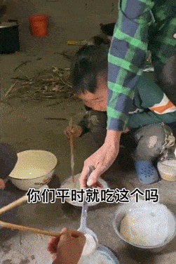 251_376 竖版 竖屏