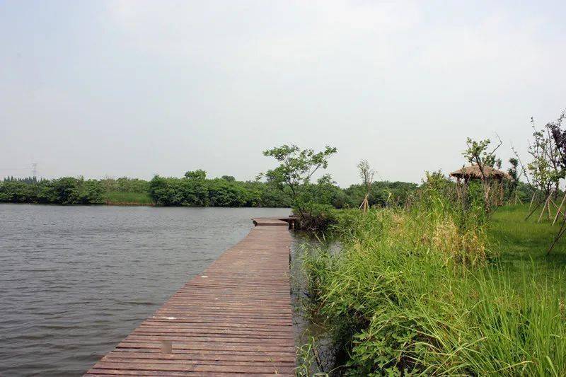 江宁有个上秦淮湿地公园,加速建设中…_手机搜狐网