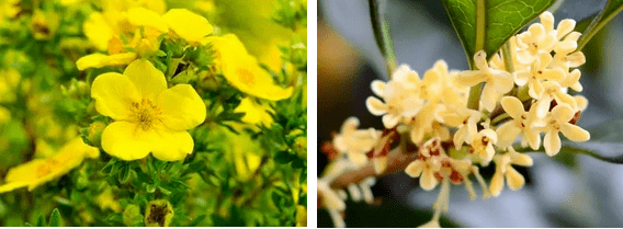 换季|吴昕、林允睡前都在用的懒人超爱保养品，一次性解决换季皮肤敏感、泛红、脱皮...